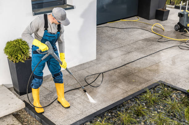 Best House Pressure Washing  in Bylas, AZ